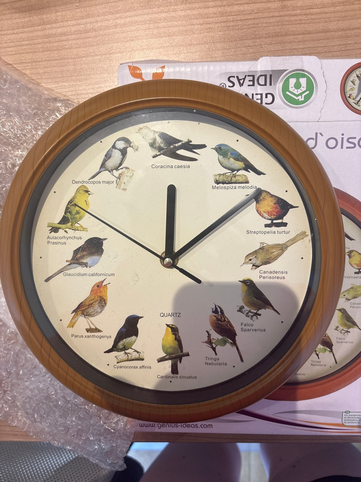 Wandklok met Vogelgeluiden - Elk Uur een Nieuw Geluid, Huis en Inrichting, Wandklok, Nieuw, Ophalen of Verzenden, Overige merken