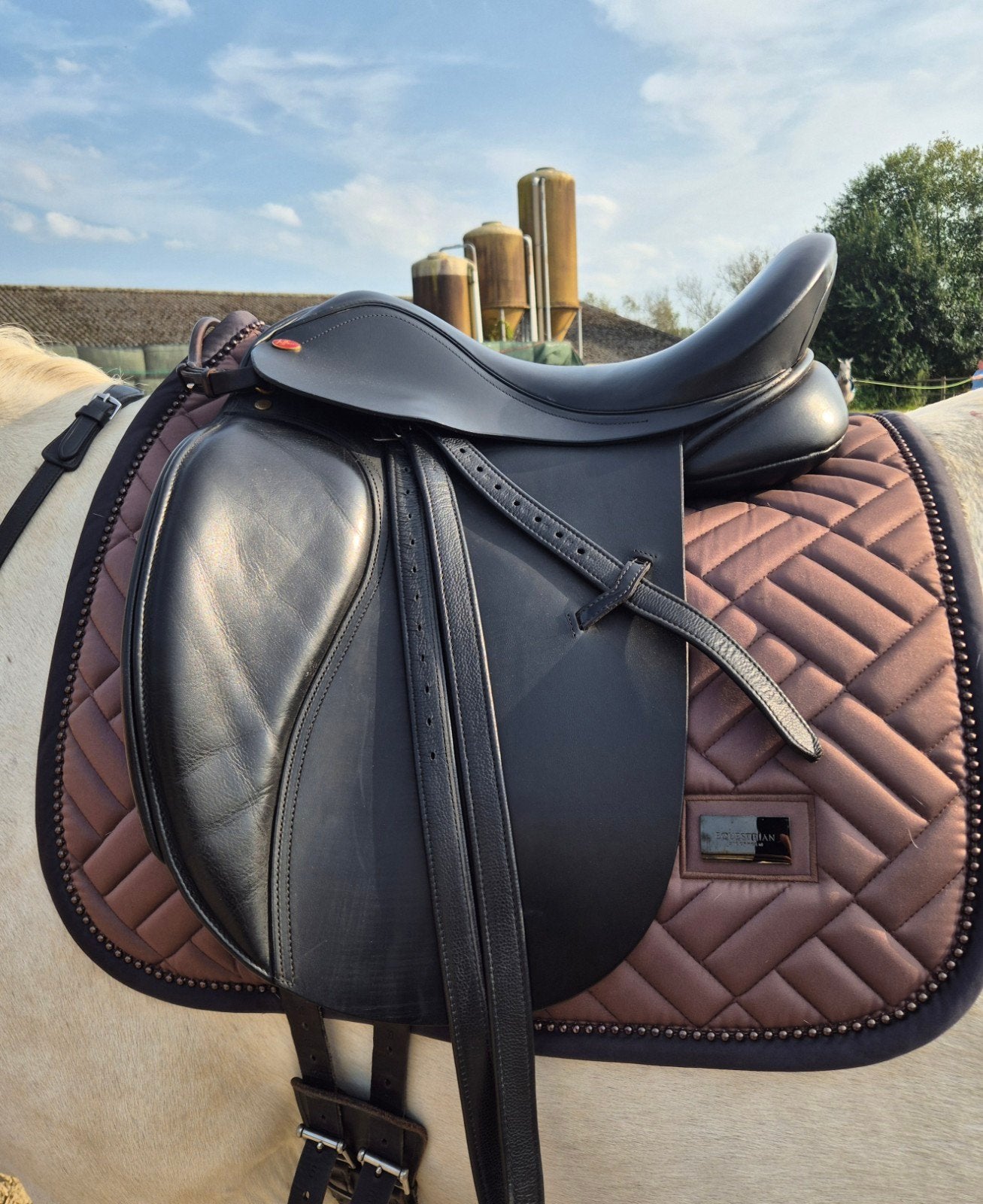 Jeffries XP dressage mw 17,5 inch met treeclix, Dieren en Toebehoren, Ophalen, L (17.5 inch), Dressuur, Overige merken