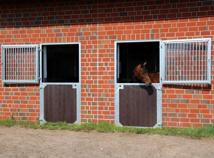 61. Staldeur | staldeur paard | paardenstal deuren, Stalling, 1 paard of pony