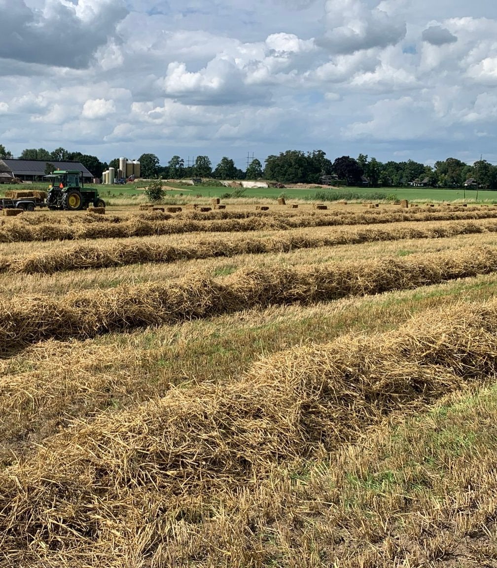 Gerste stro in baaltjes, Ophalen, Vee