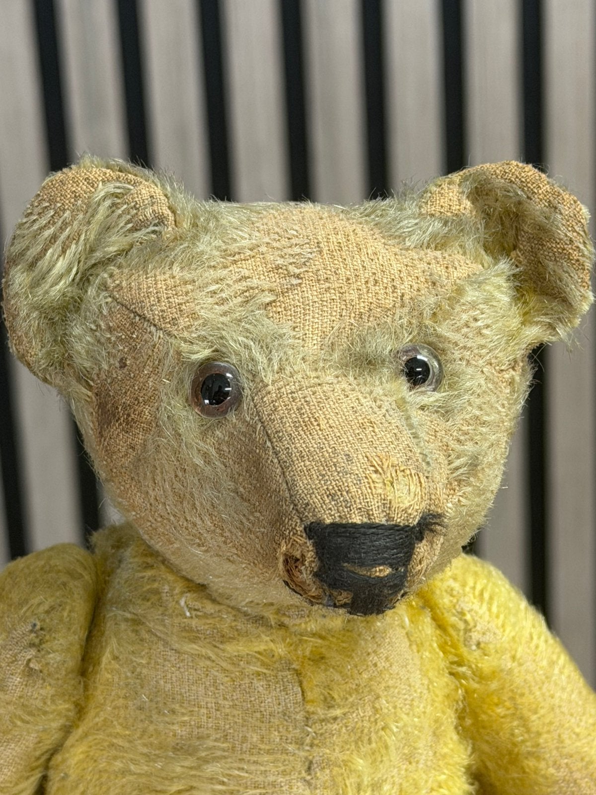 Antieke Steiff Teddybeer (ca. 1910) – 33 cm – Zeer charmant!, Ophalen of Verzenden