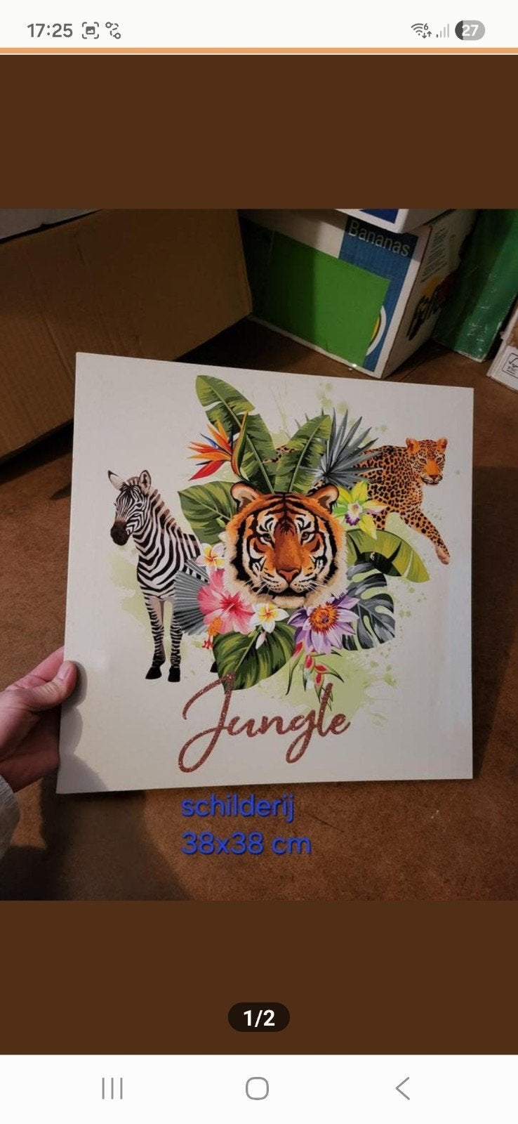 Schilderij jungle maat 38x38 cm €5, Ophalen of Verzenden, 125 cm of meer, Schilderij, 75 cm of meer