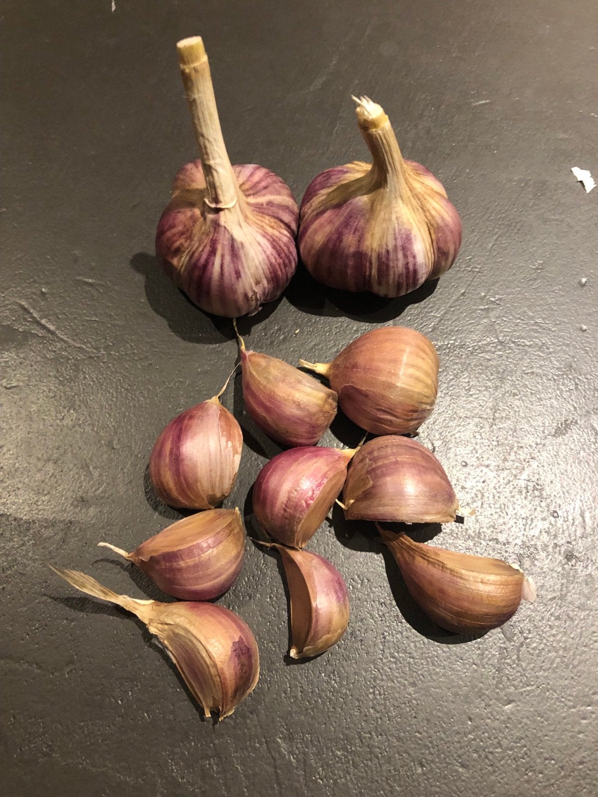 Poot Knoflook, Ophalen of Verzenden