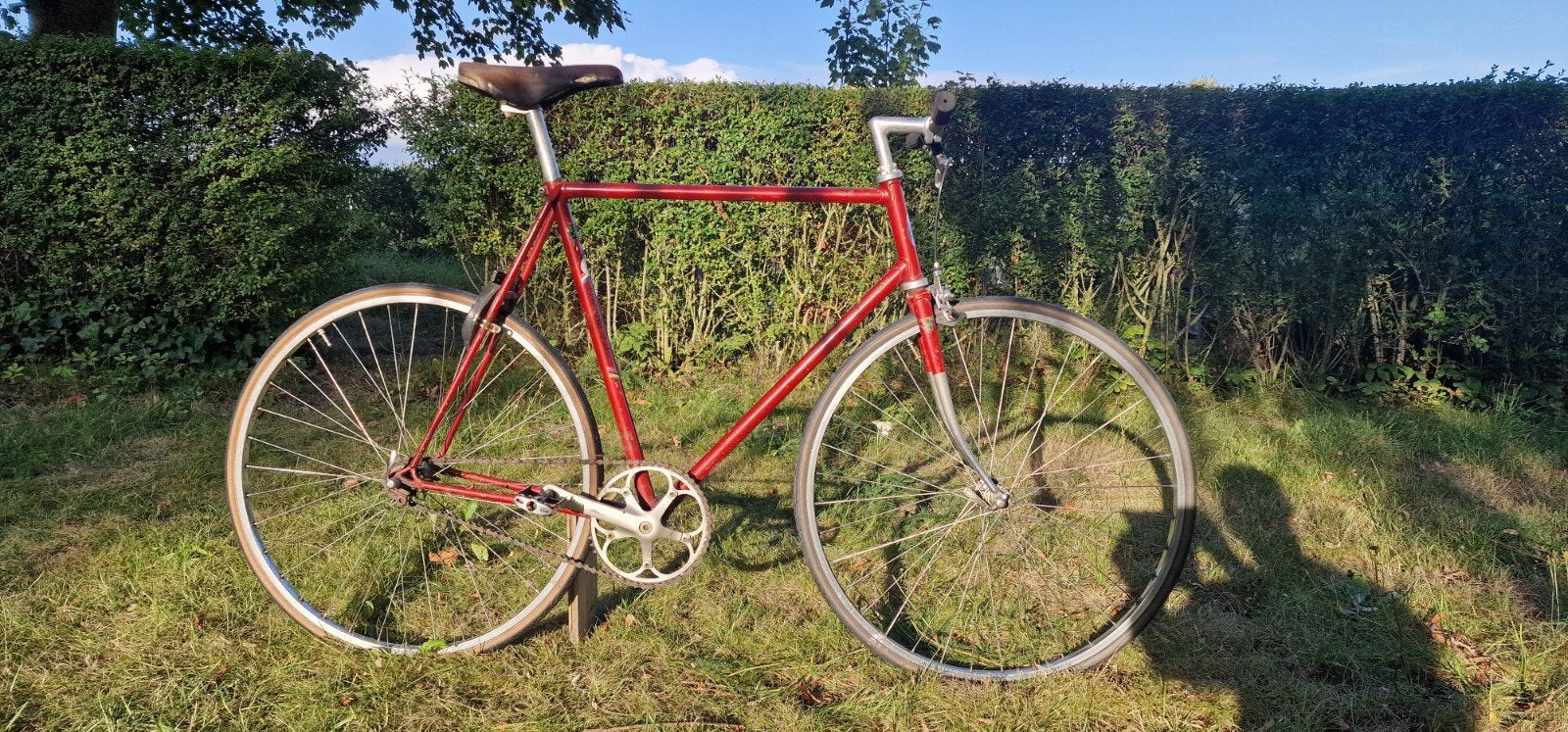 Gazelle Champion Mondial racefiets, fixie, single gear, Fietsen en Brommers, Fietsen | Oldtimers, Ophalen of Verzenden