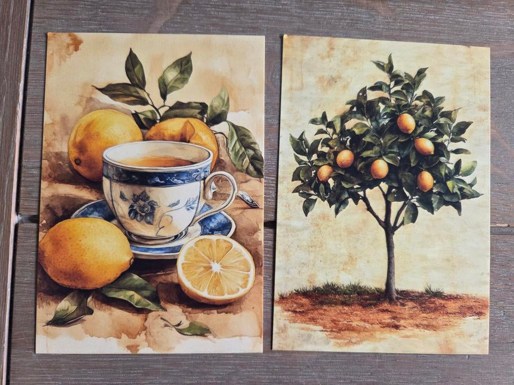 CITROEN 9, Ophalen, 1960 tot 1980, Voertuig