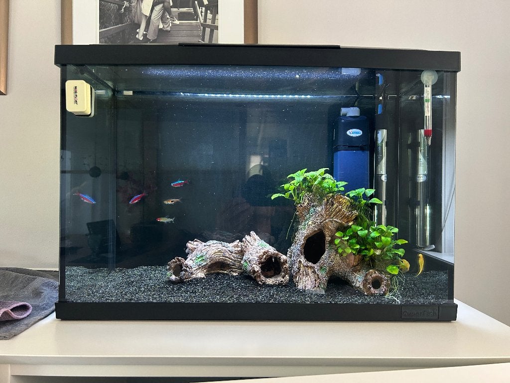 SuperFish Start 70 aquarium 60 liter met veel assessiores, Ophalen, Gebruikt, Superfish, Leeg aquarium