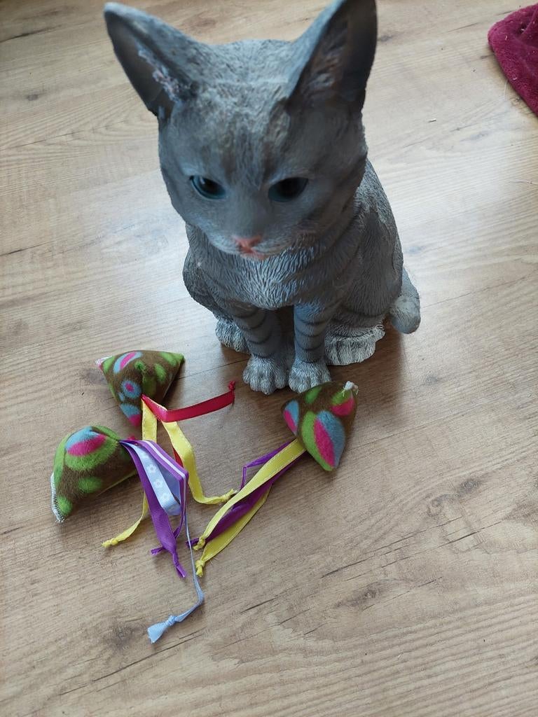 Kattenspeeltjes met Catnip, Dieren en Toebehoren, Ophalen of Verzenden, Nieuw