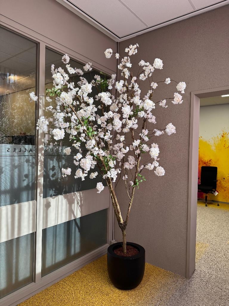 Prachtige Kunst bloesem boom | Hoogte 275 cm | Incl. Pot, Ophalen of Verzenden, Nieuw, Binnen