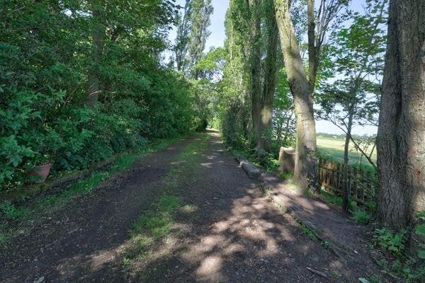 Woonboerderij 8595 m2  perceel woning 380 m2, Vrijstaande woning, 380 m², 9 kamers, Friesland