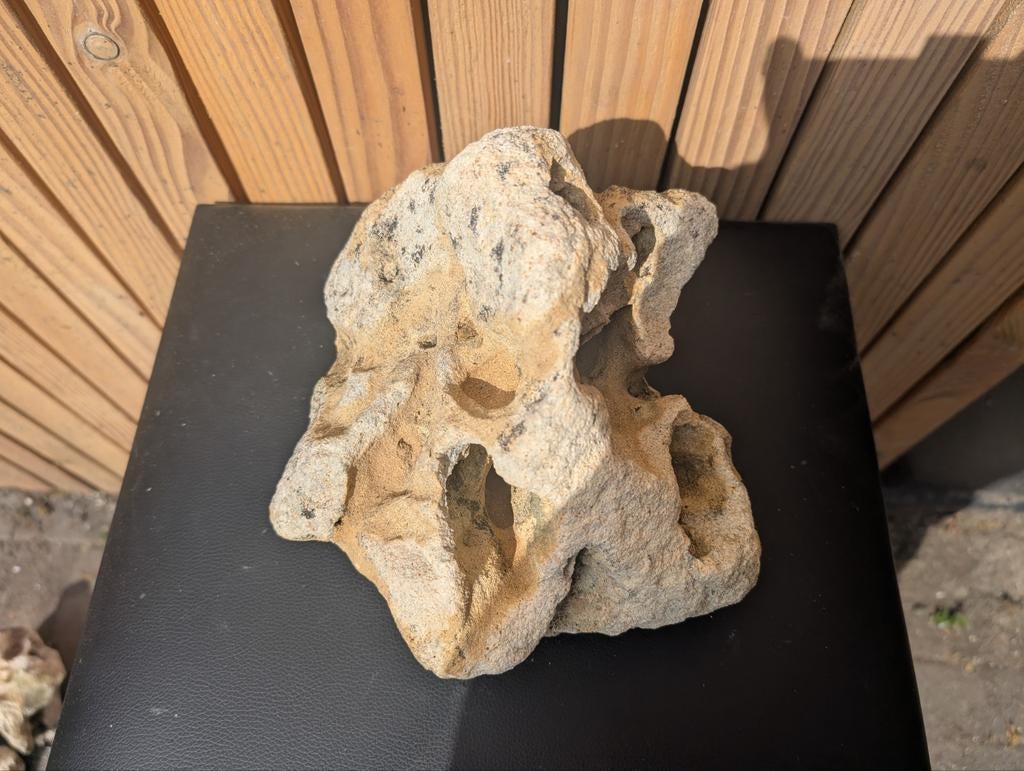 🐠Steen stenen aquarium terrarium te koop ruim 20 cm, Ophalen of Verzenden, Plant(en), Steen of Hout