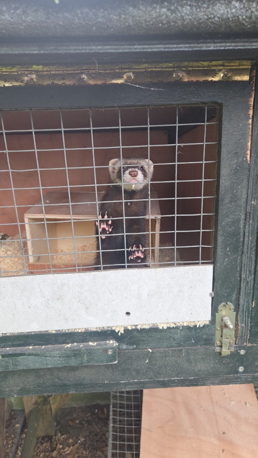 fretten te koop, Ophalen