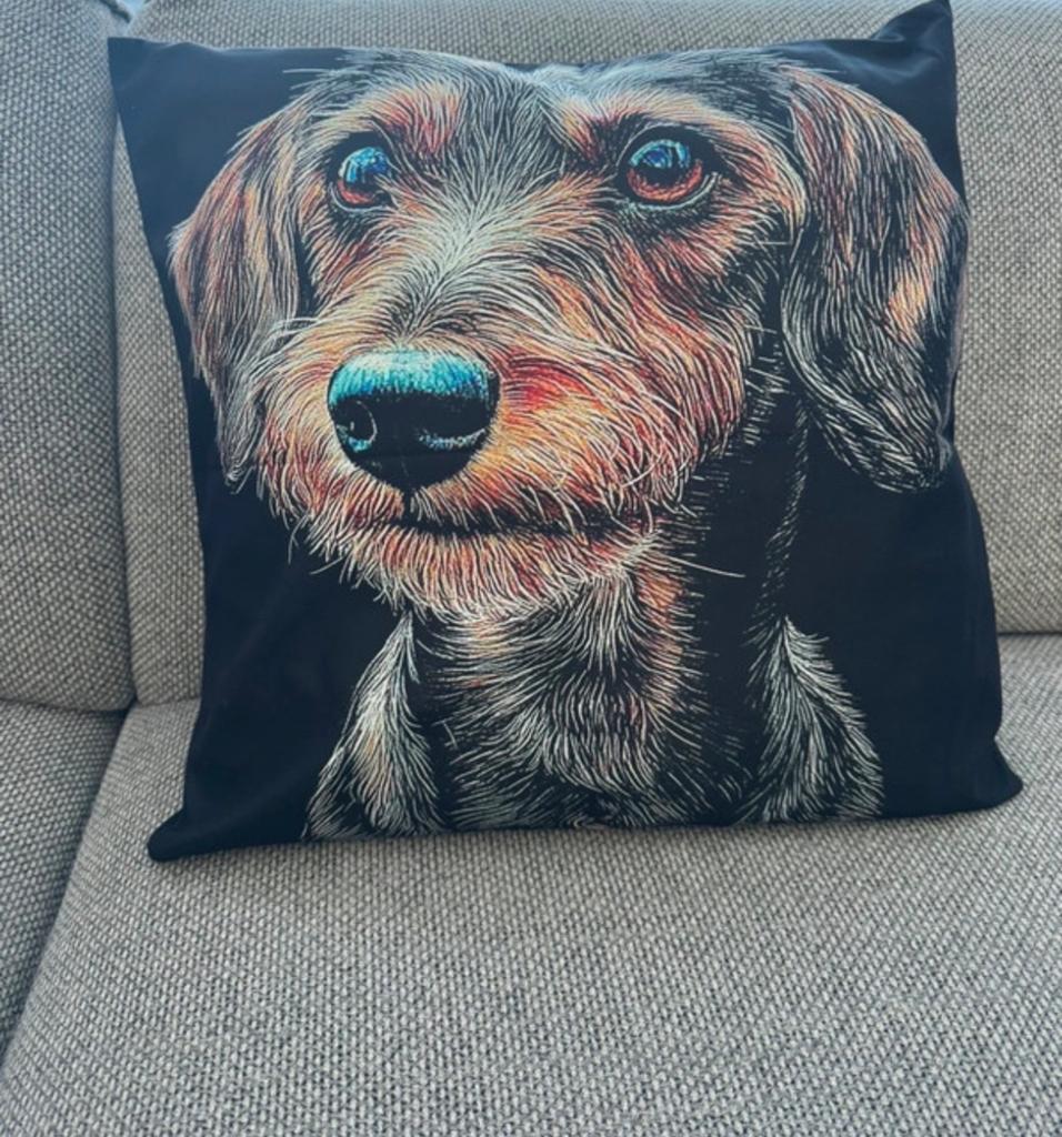 Kussenhoes Teckel Ruwharig - Dubbelzijdig Bedrukt 45x45cm, Ophalen of Verzenden, Nieuw, Zwart, Vierkant