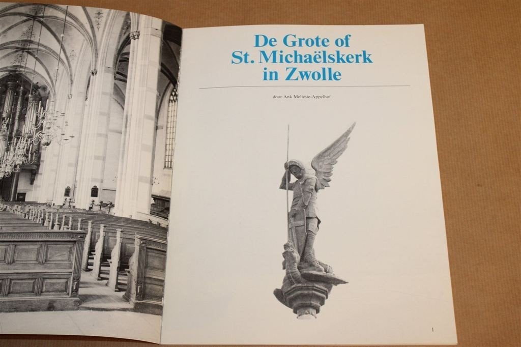 St. Michaëlskerk — De Grote Kerk van Zwolle in Beeld, Boeken, Geschiedenis | Stad en Regio, Ophalen of Verzenden, Gelezen
