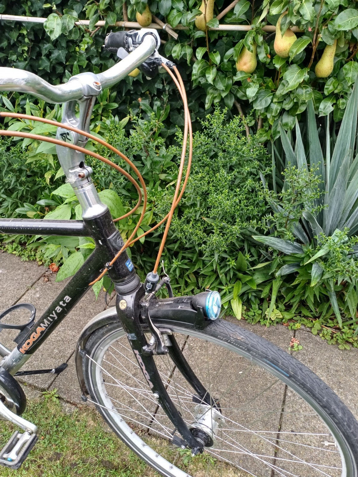 koga Miyata herenfiets, 51 tot 55 cm, Ophalen