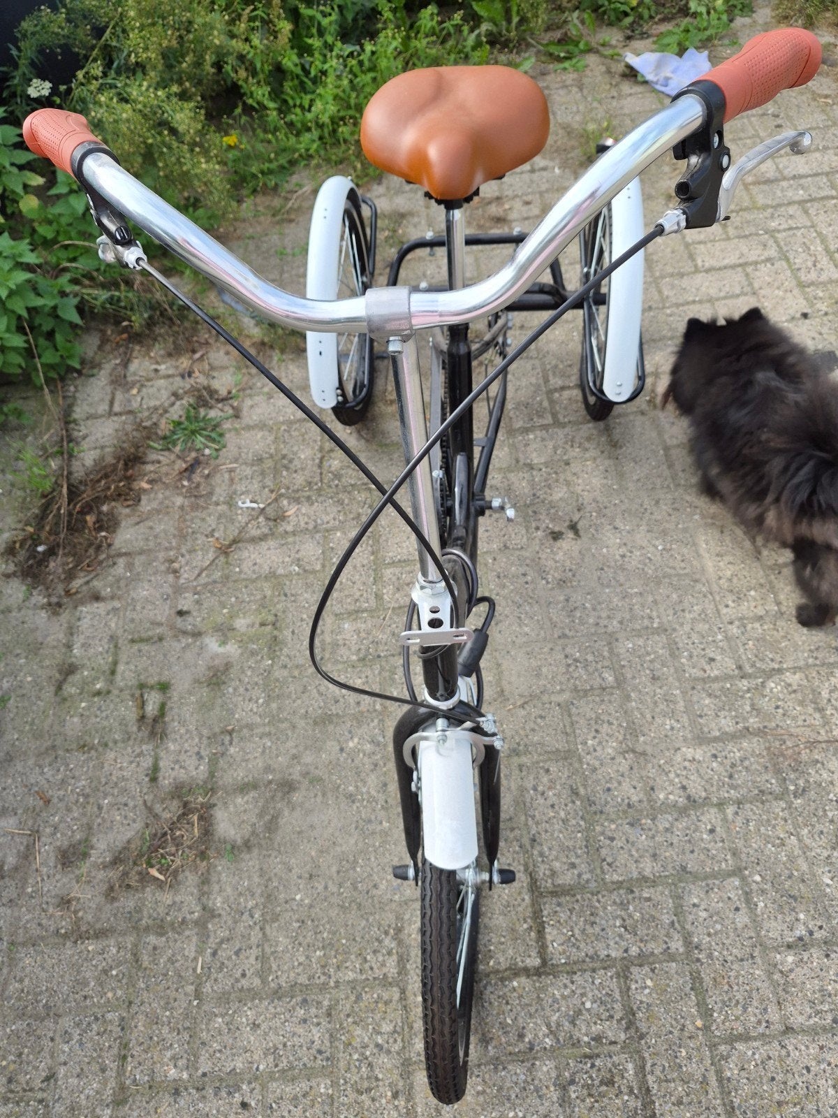 Nieuwe driewieler ook voor volwassenen., Ophalen, Nieuw, Overige merken