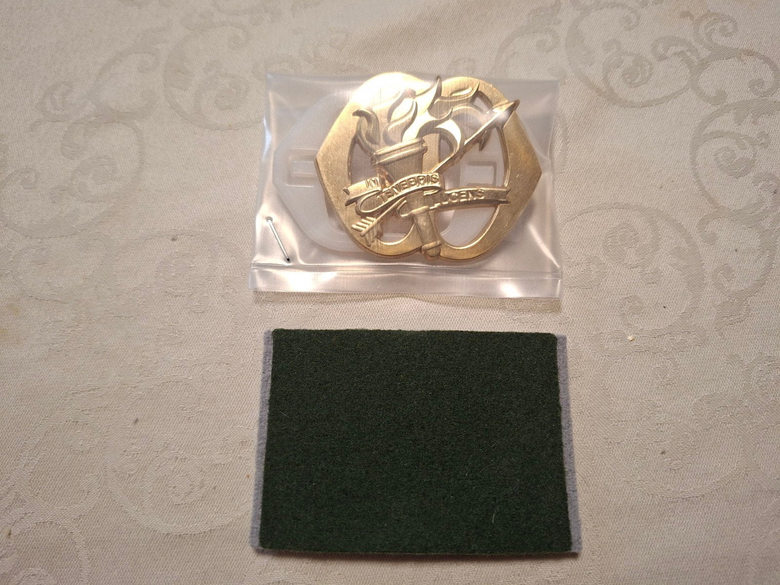 Baretembleem Inlichtingen en veiligheid (39), Verzamelen, Verzenden, Landmacht, Nederland, Embleem of Badge
