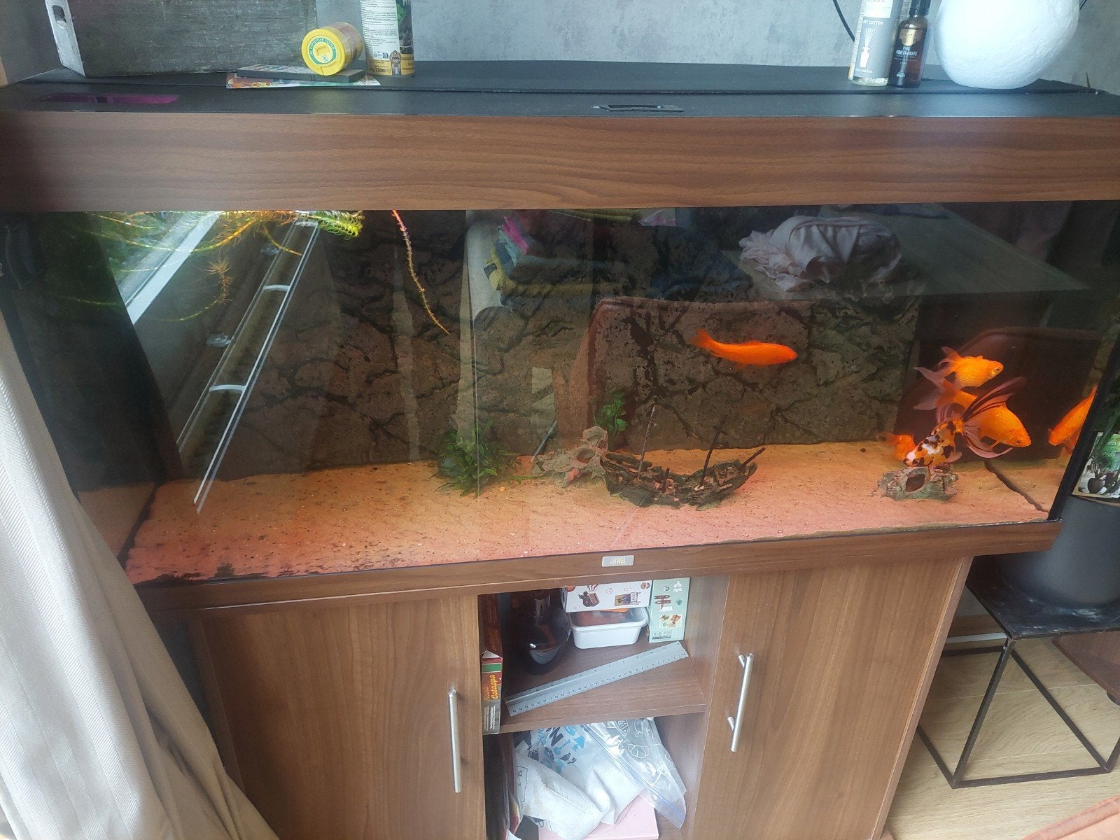juwel 240 liter aquarium, Gebruikt, Gevuld zoetwateraquarium, Juwel, Ophalen