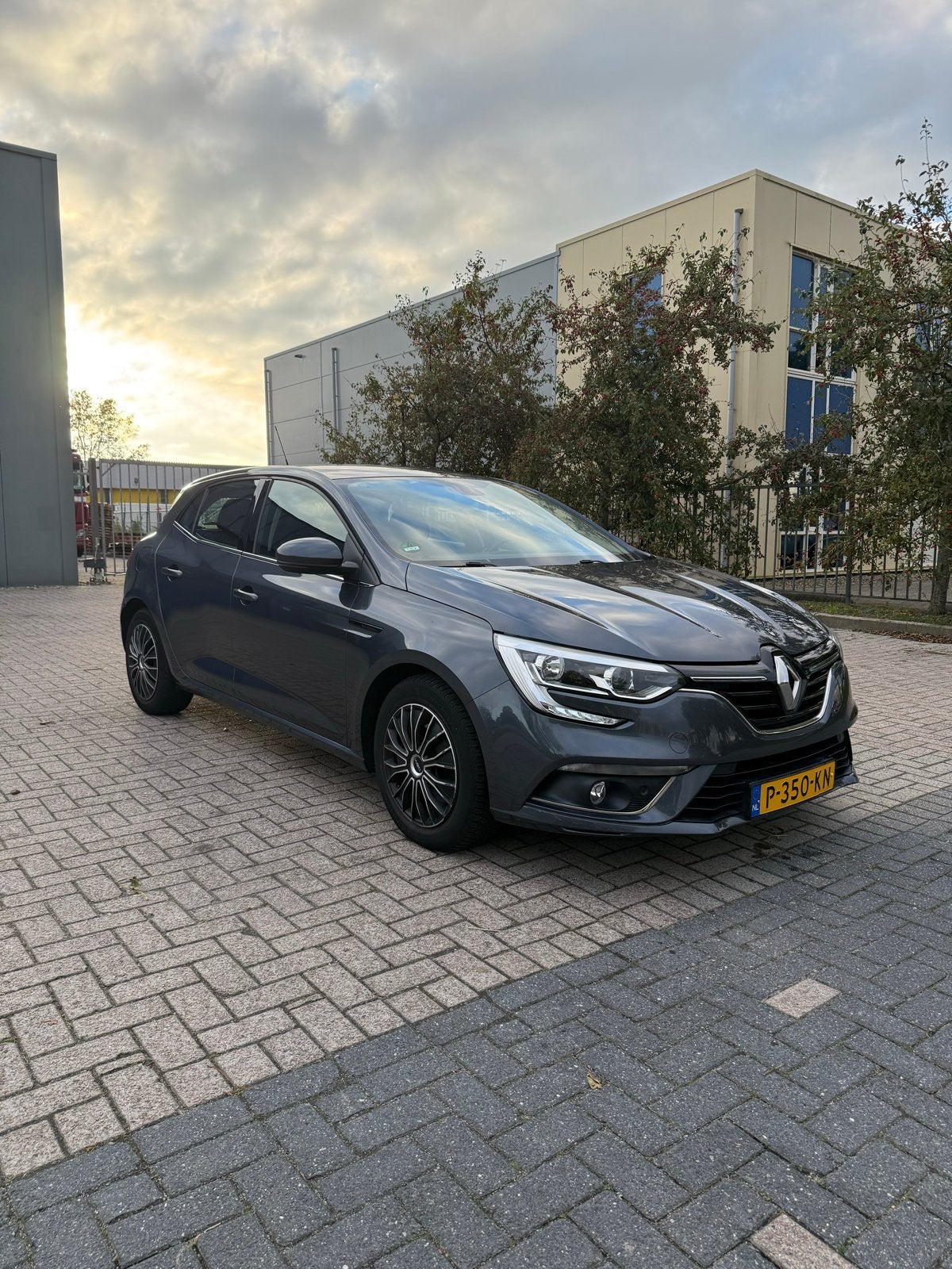 Renault Mégane 1.2 TCE, Voorwielaandrijving, Stof, 4 cilinders, 1650 kg