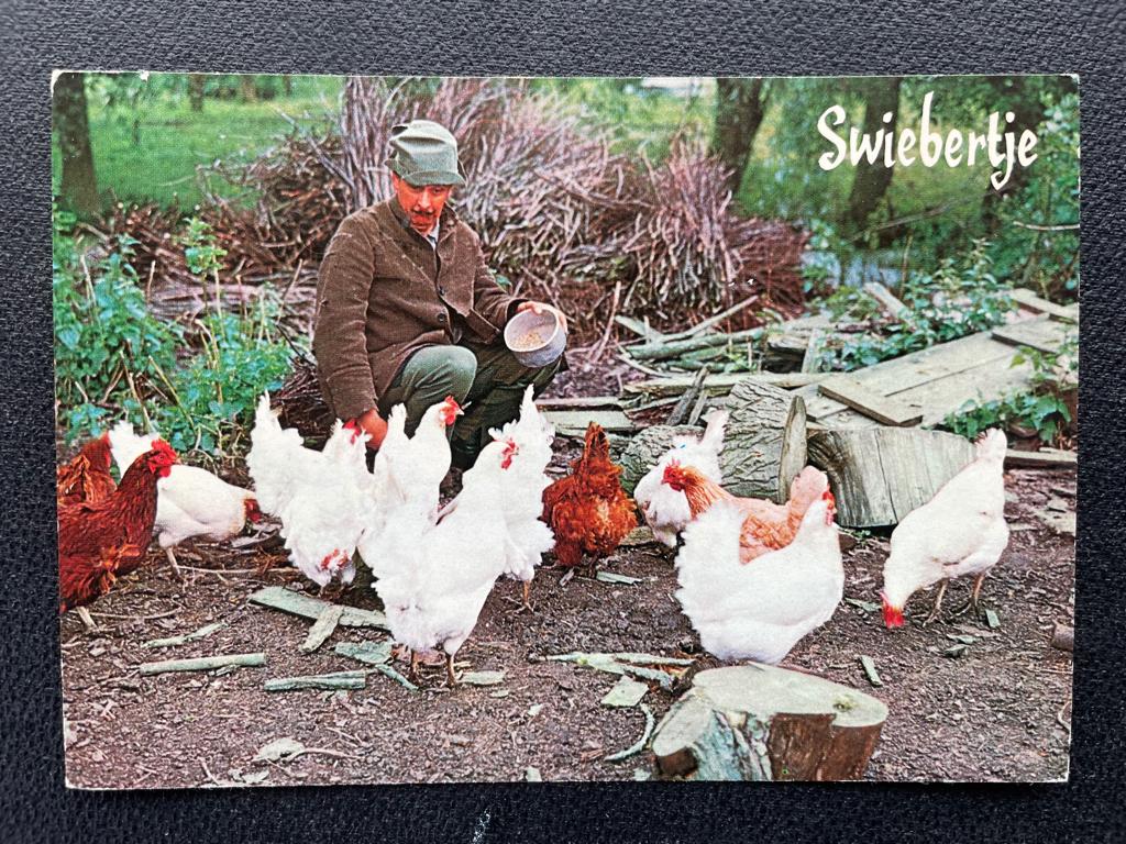 ansichtkaart / kaart van Swiebertje 4., Verzenden, 1960 tot 1980, Sterren en Beroemdheden