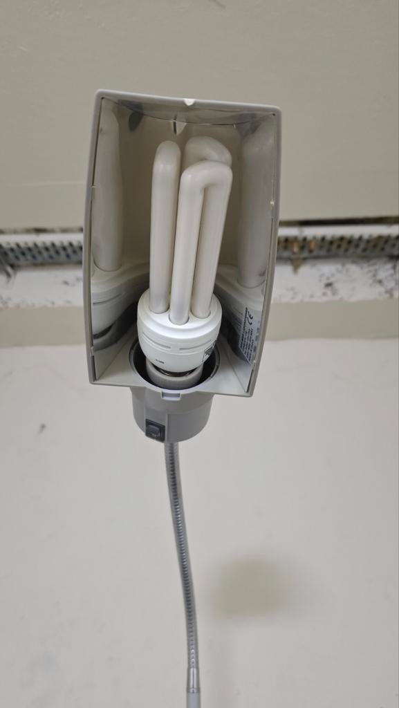 Staande UV lamp, Geslacht onbekend, Papegaai