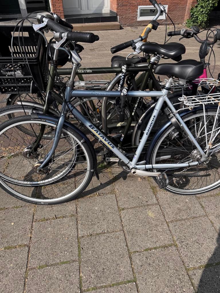Batavus Staccato - 54 cm frame, 28 inch wielen, Fietsen en Brommers, Fietsen | Heren | Herenfietsen, 53 tot 57 cm, Ophalen, Gebruikt