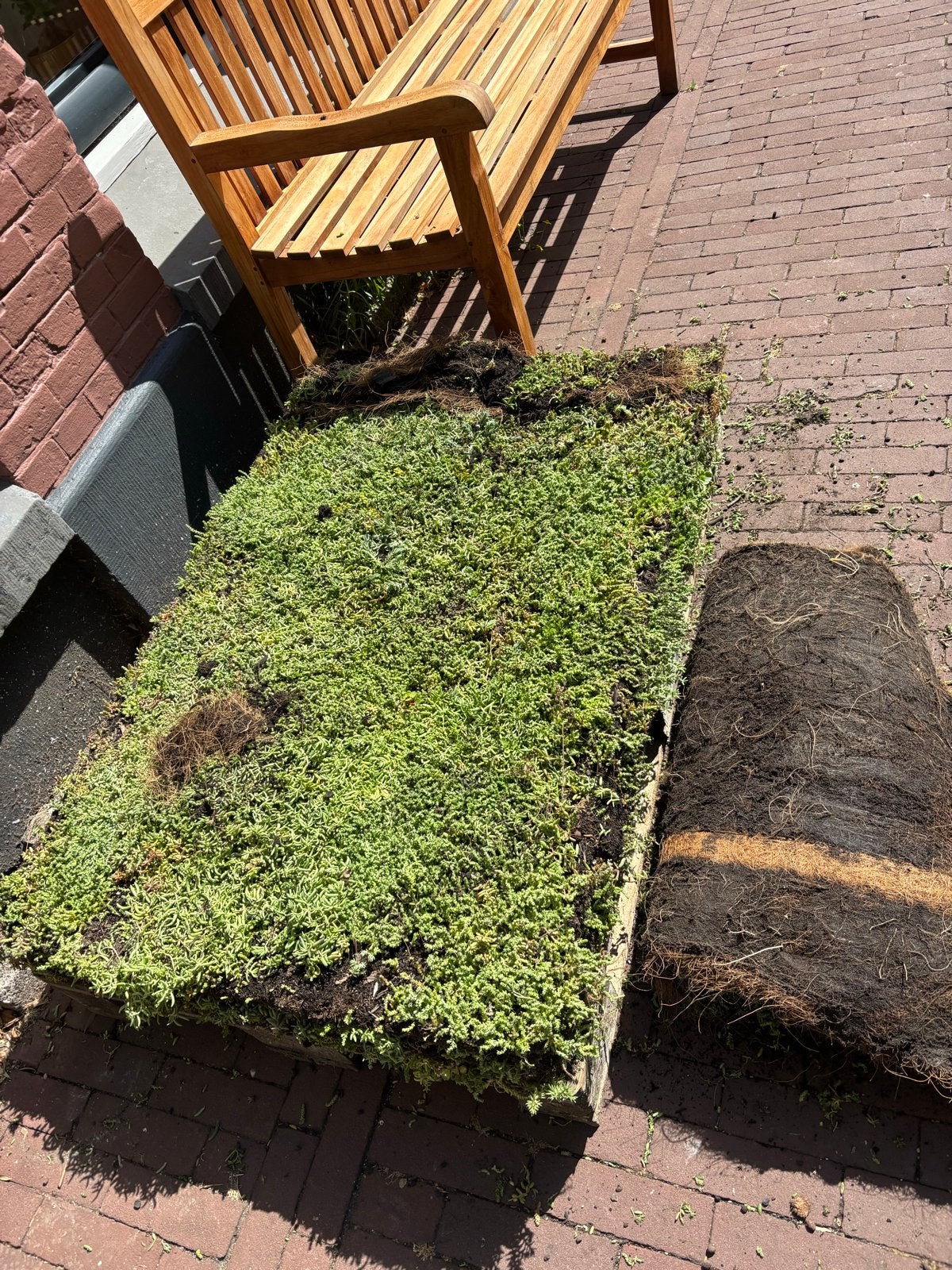 Sedumdak pakket 3x 80x120cm, Ophalen, Eenjarig, Overige soorten, Volle zon