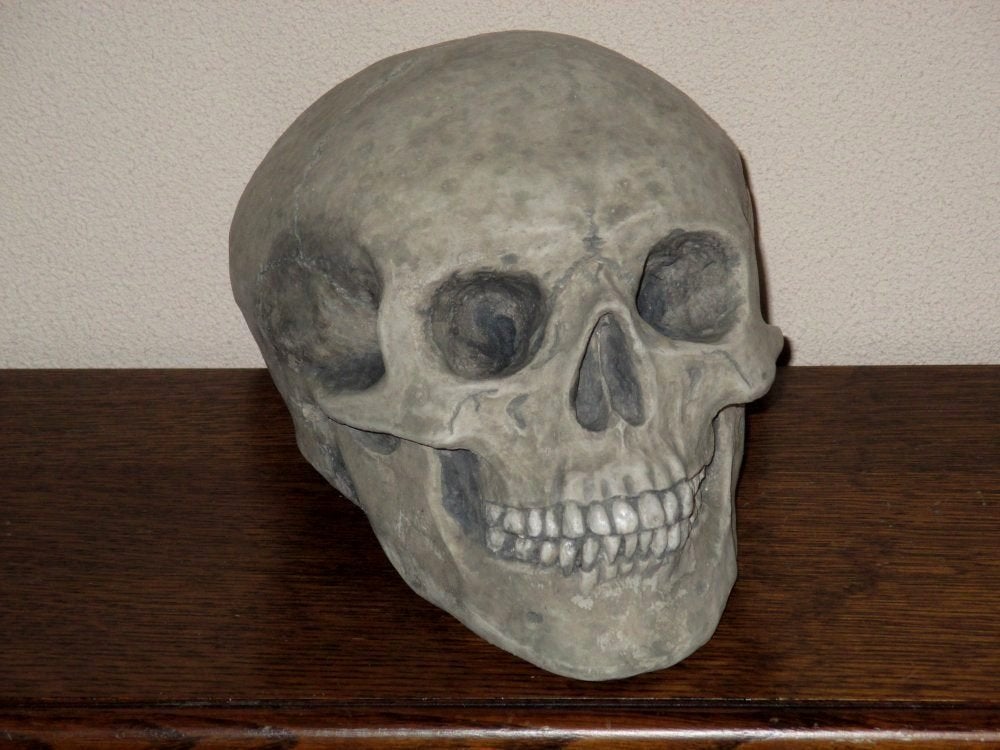 menselijke Skull, Schedel mens Medium, uniek, handgemaakt, Ophalen of Verzenden, Nieuw