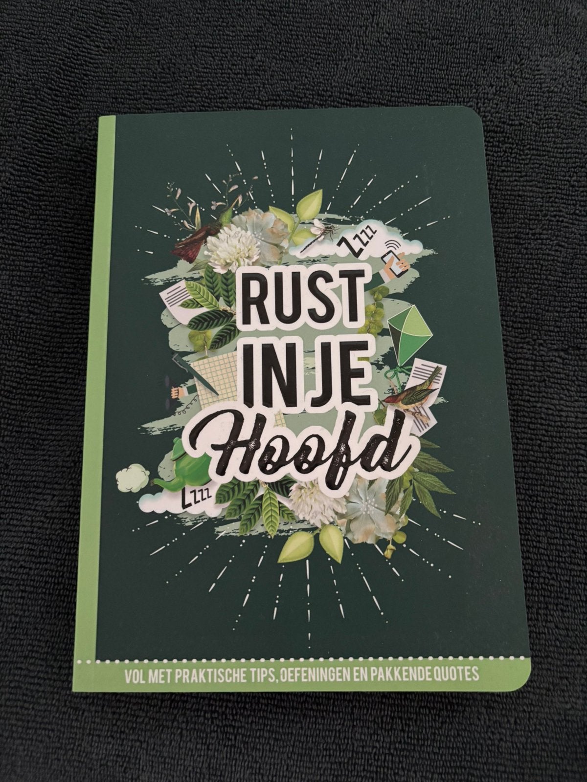 Rust in je hoofd, Boeken, Ophalen of Verzenden, Nieuw