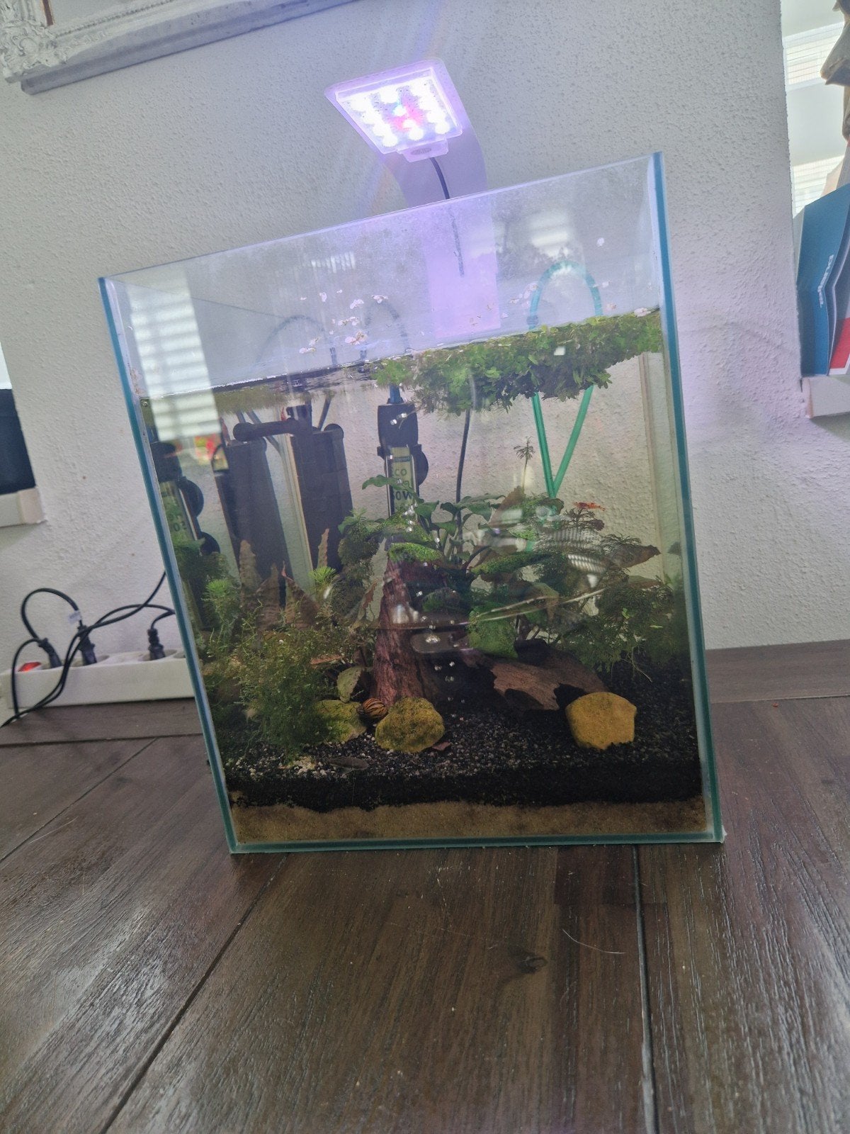 Compleet aquarium 1 jaar oud, Ophalen, Zo goed als nieuw, Leeg aquarium