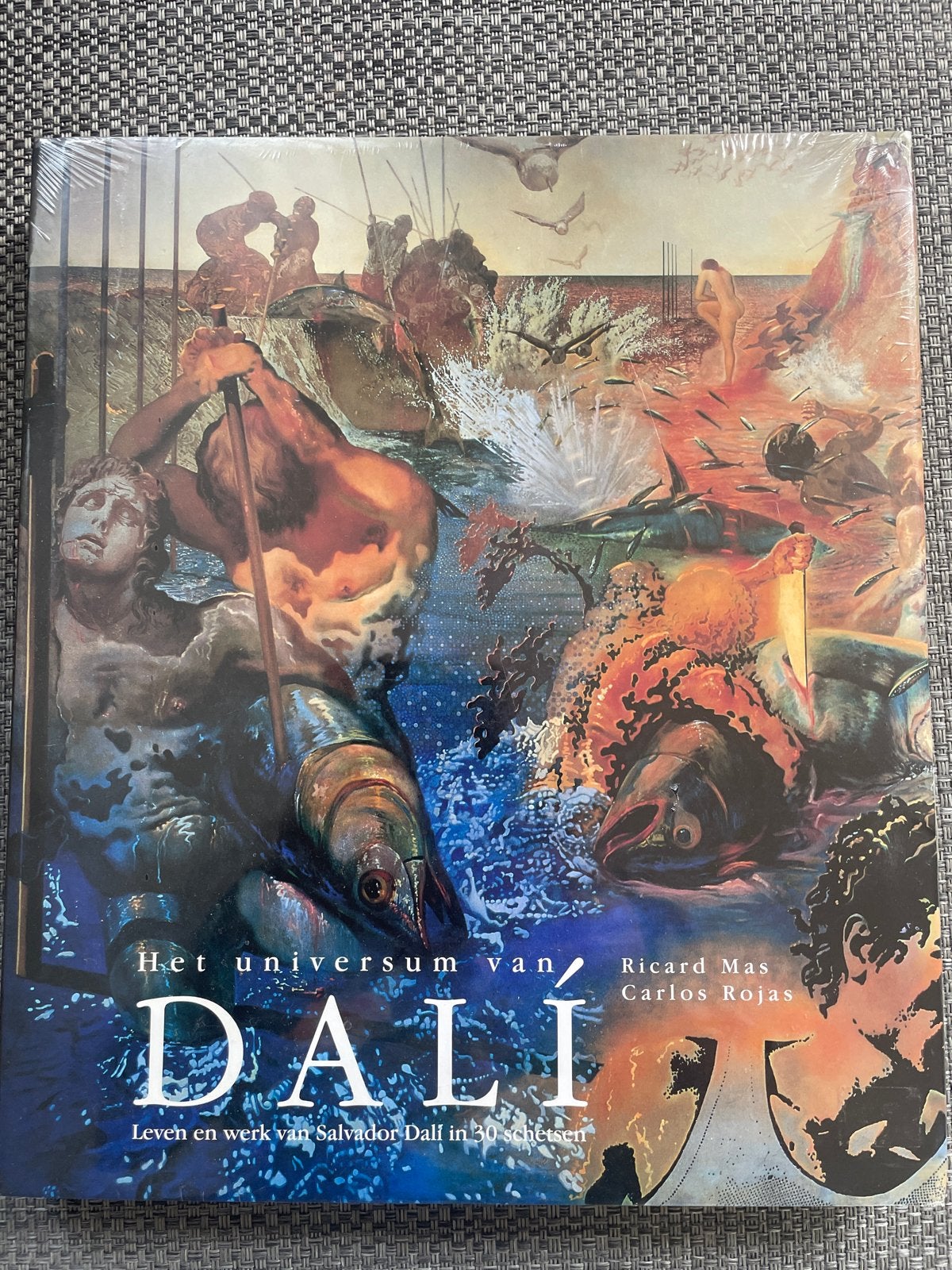 Het universum van Dalí - Leven en werk van Salvador Dalí, Ophalen of Verzenden, Nieuw, Fotografie algemeen