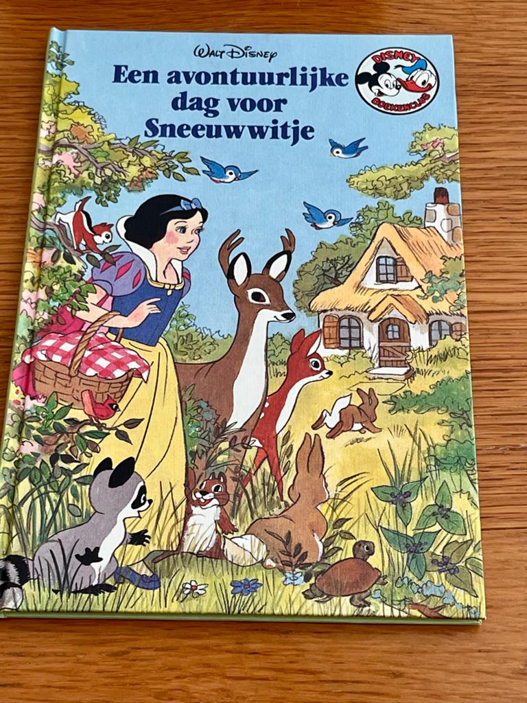 Walt Disney: Een avontuurlijke dag voor Sneeuwwitje, Boeken, Kinderboeken | Jeugd | onder 10 jaar, Ophalen of Verzenden, Zo goed als nieuw