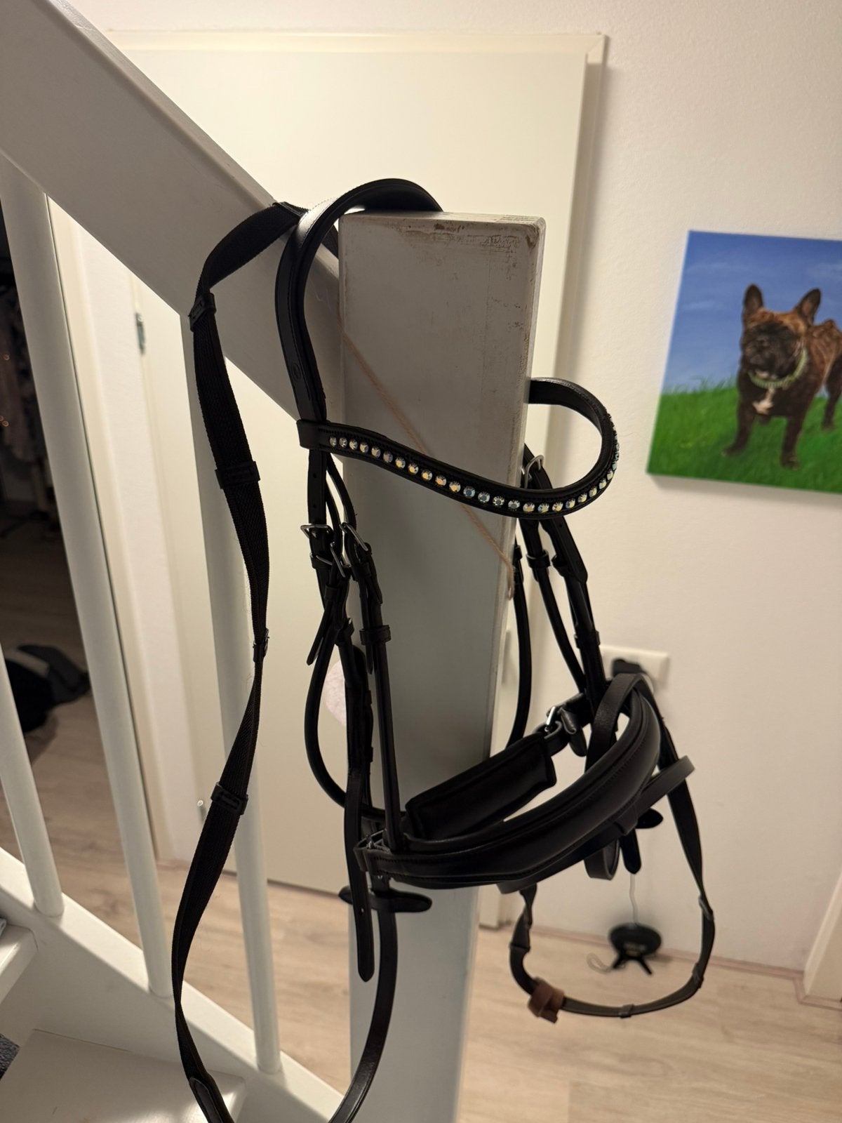 Nieuw BR Andover hoofdstel, Nieuw, Ophalen of Verzenden, Zwart, Anatomisch gevormd