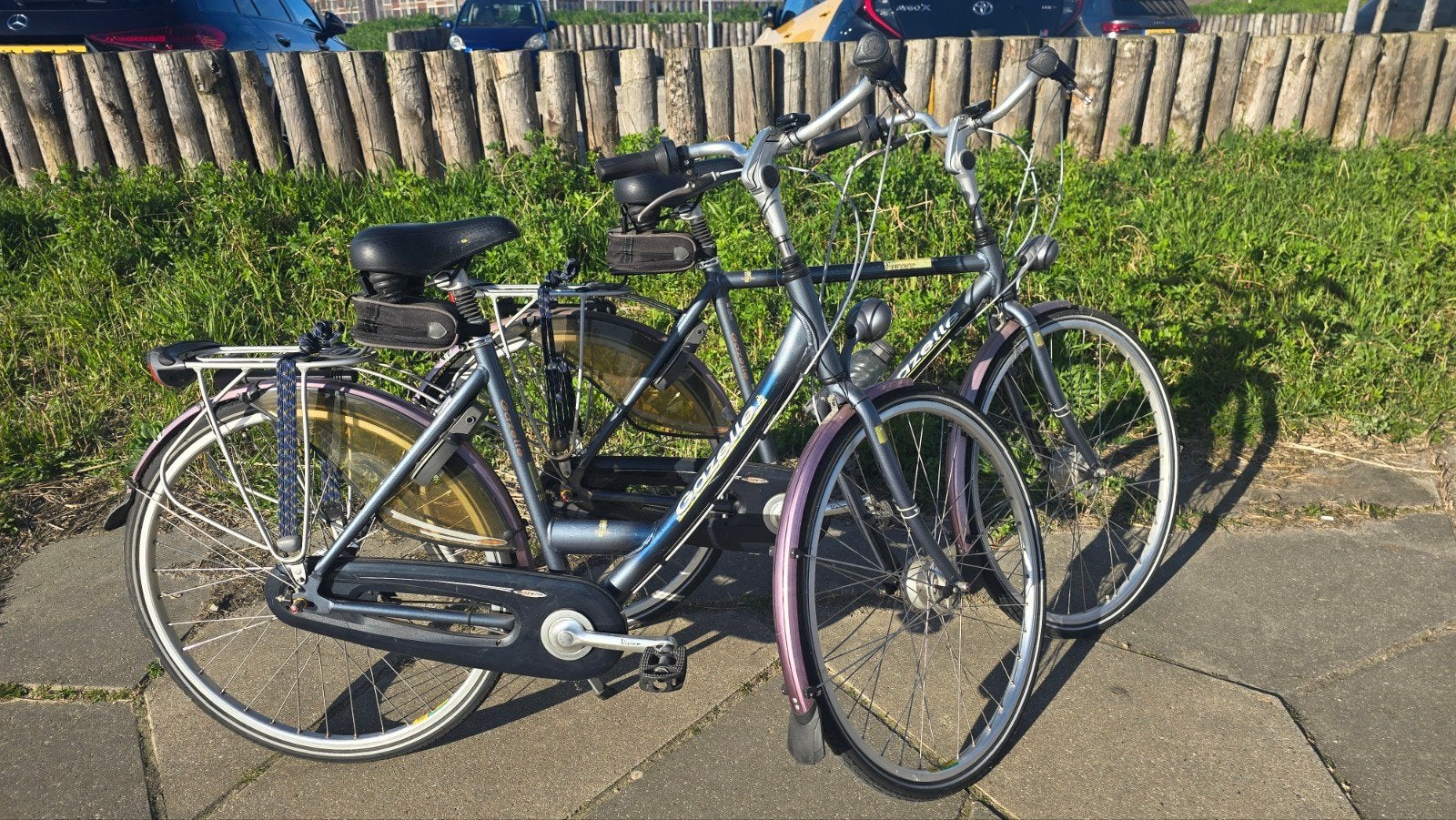 Setje Gazelle Furore, 53 tot 56 cm, Ophalen, Gazelle, Versnellingen