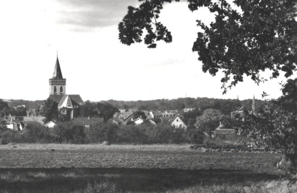 948007 Ede Panorama 1955 Gelopen met postzegel, Ophalen of Verzenden, 1940 tot 1960, Gelopen, Gelderland