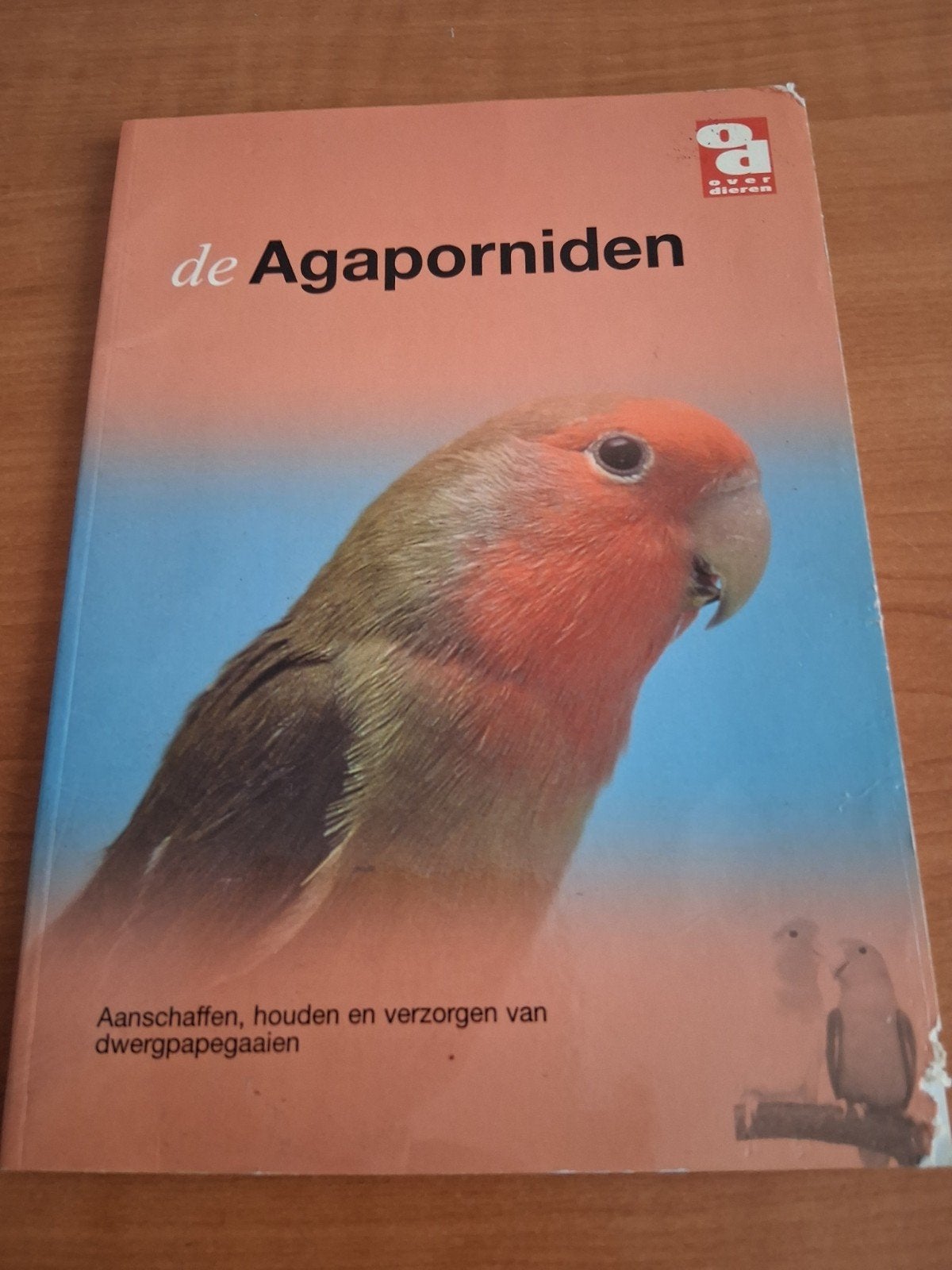 De Agaporniden, Ophalen, Nieuw