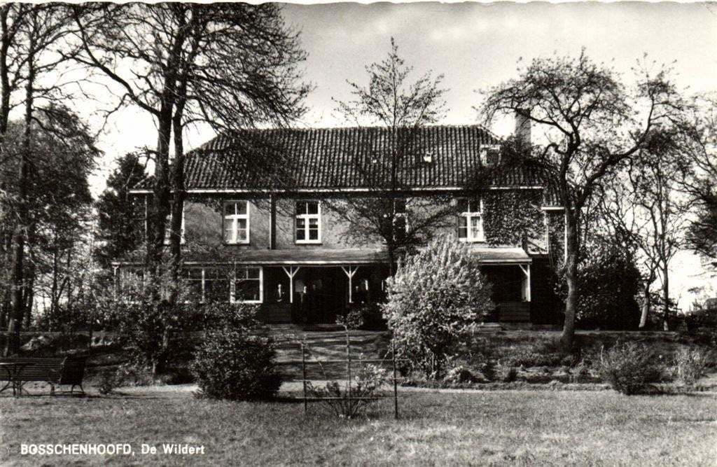 Bosschenhoofd, De Wildert - ongelopen, Ophalen of Verzenden, 1960 tot 1980, Ongelopen, Noord-Brabant