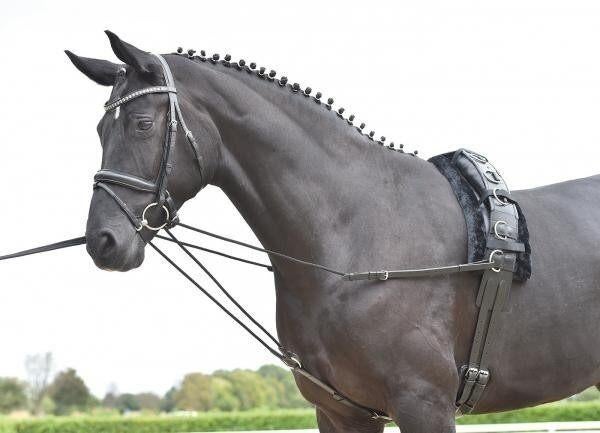 Busse driehoeksteugel Basic-Kordel, Ophalen of Verzenden, Nieuw