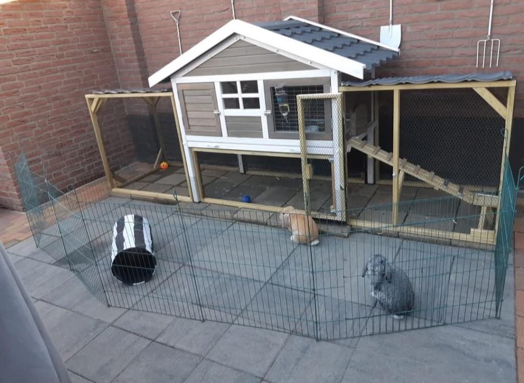 Konijnenhok 2 verdiepingen + buitenren, Ophalen, Hamster, 90 cm of meer, Hok