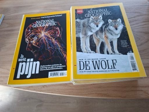 National Geographic tijdschriften € 1,00 per stuk, Ophalen of Verzenden, Zo goed als nieuw, Wetenschap en Natuur