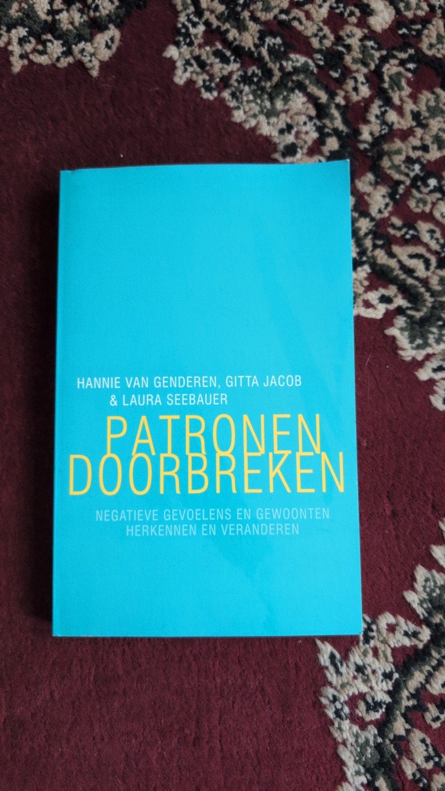 Patronen Doorbreken: Negatieve Gevoelens en Gewoonten, Ophalen of Verzenden, Zo goed als nieuw, Hannie van Genderen, Gitta Jacob & Laura Seebauer