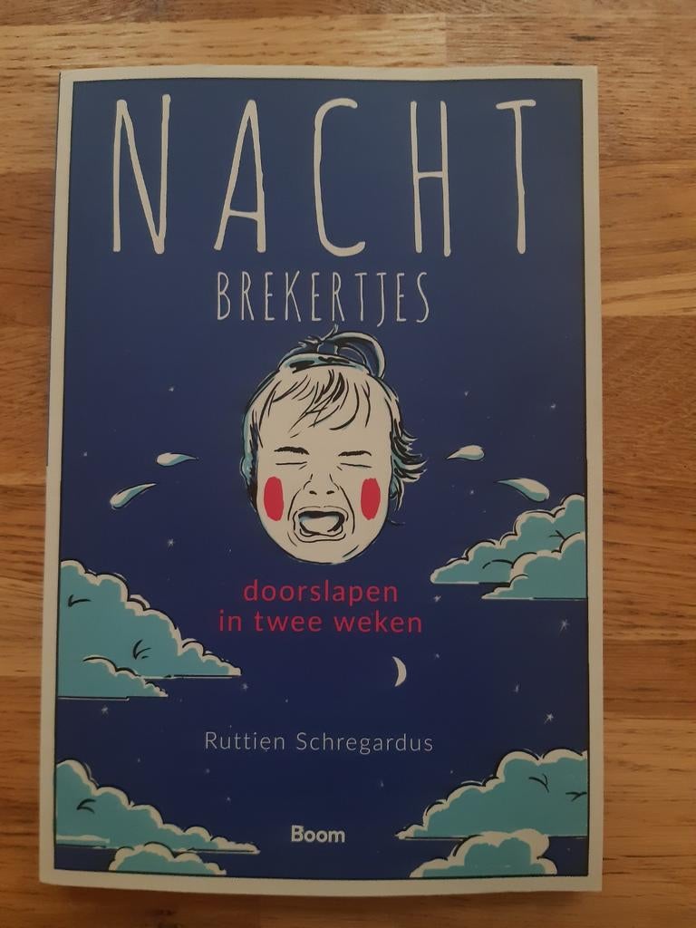 Ruttien Schregardus - Nachtbrekertjes, Ophalen of Verzenden, Ruttien Schregardus, Ontwikkelingspsychologie, Zo goed als nieuw