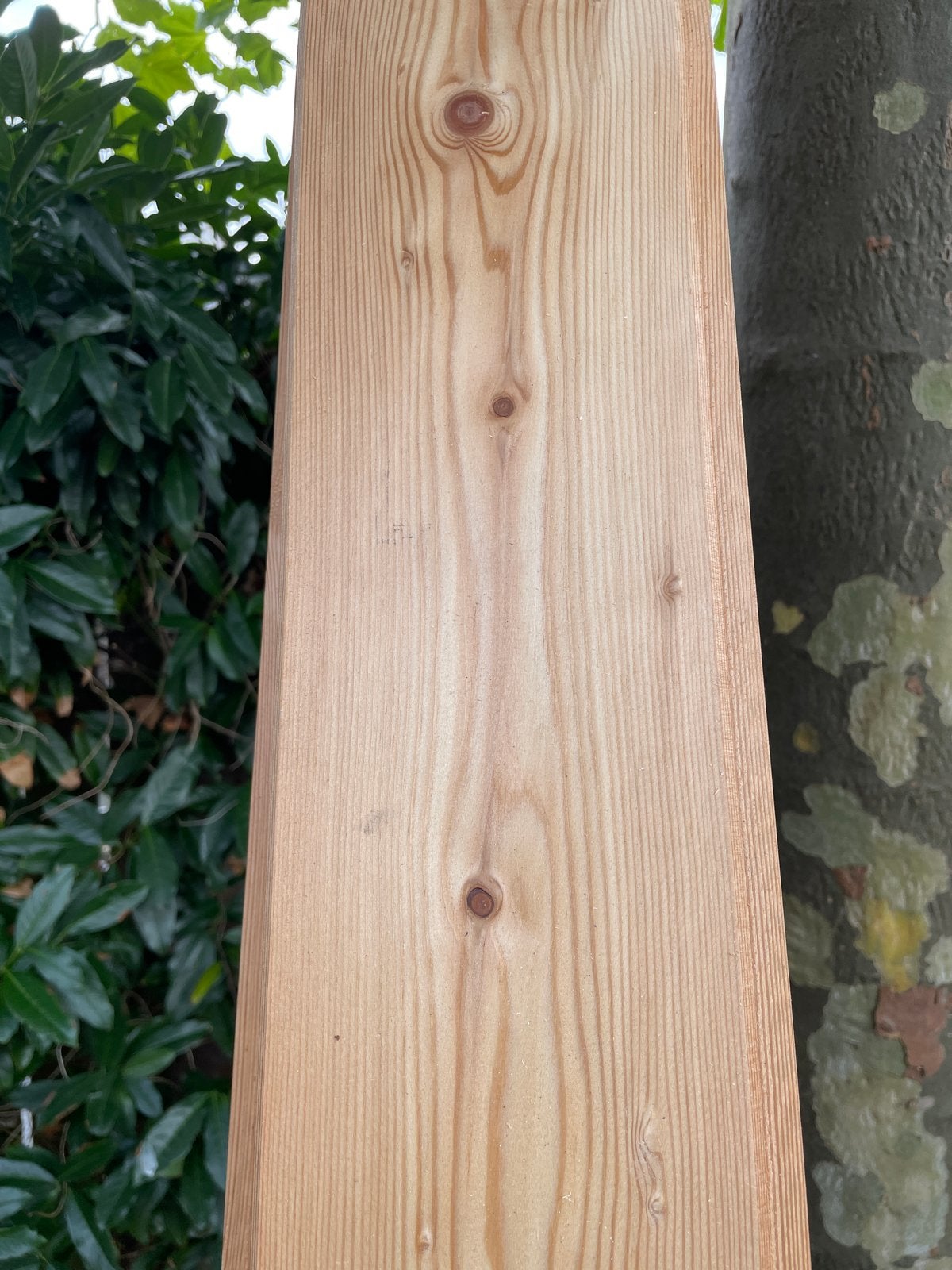8 Russisch lariks planken mes in groef, 144x19x2770mm, Doe-het-zelf en Verbouw, Ophalen, Minder dan 25 mm, Nieuw, 250 tot 300 cm
