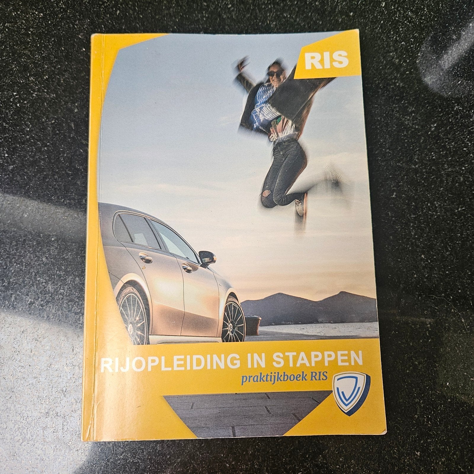 Rijopleiding in stappen RIS pratijkboek, Boeken, Ophalen