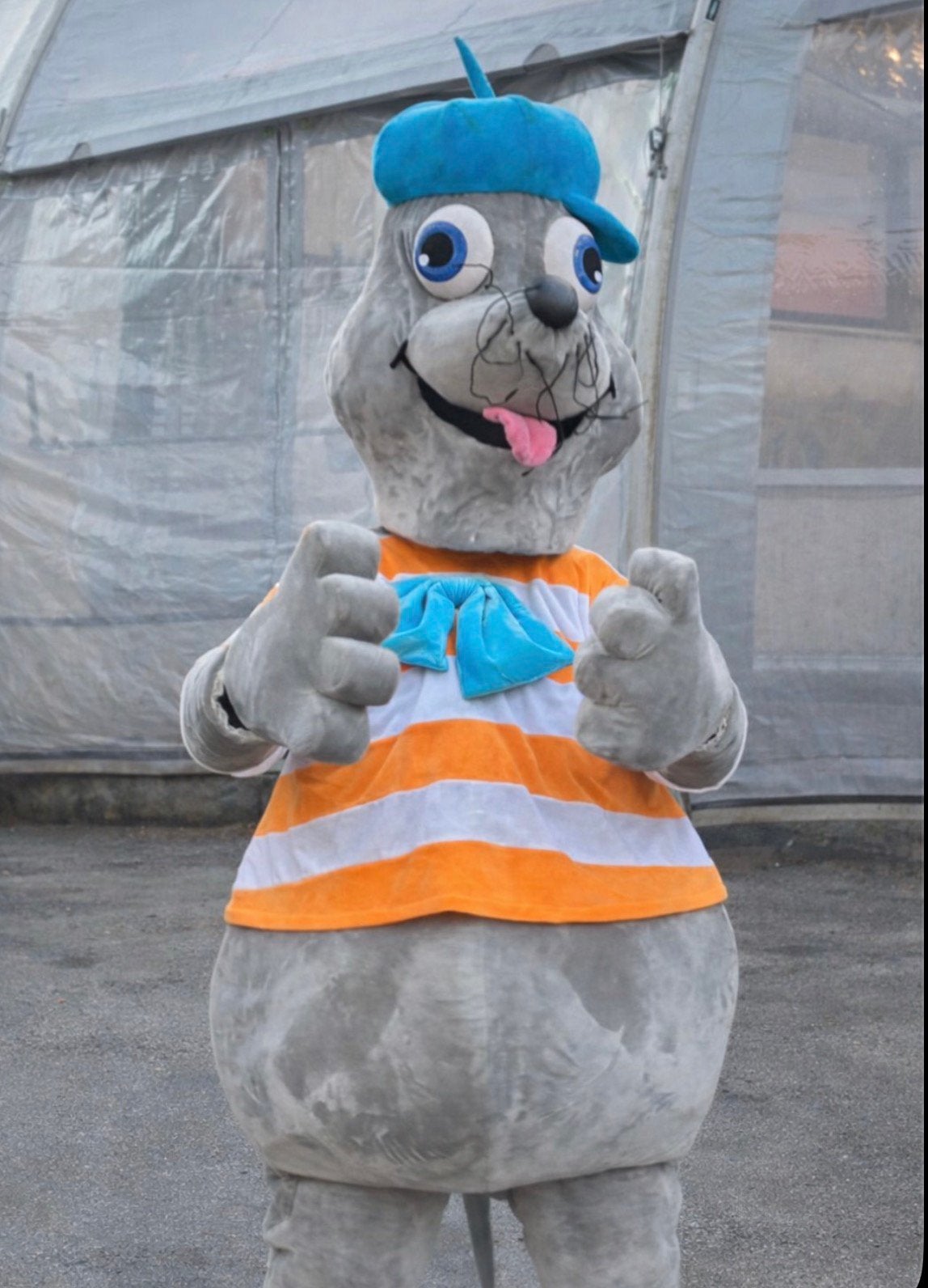 Mascotte kostuum zeehond, Ophalen, Gedragen