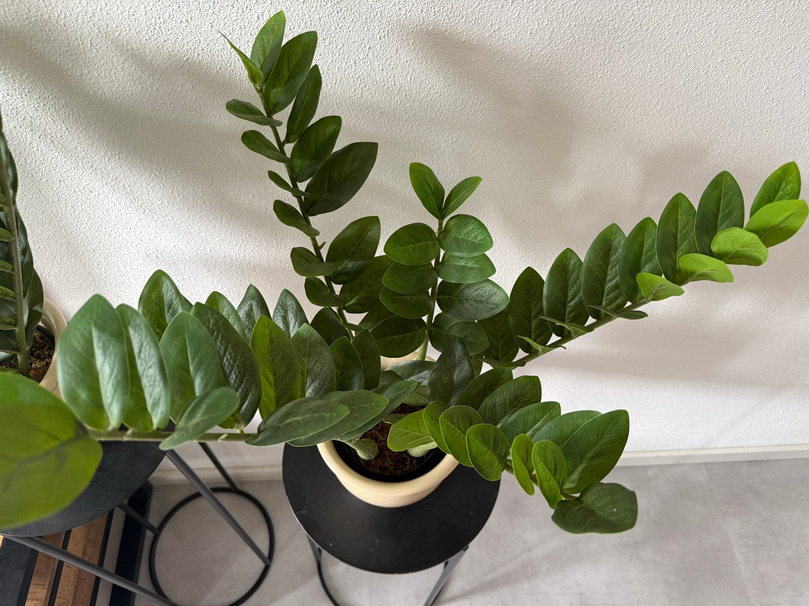 Zamioculcas Zamiifolia (ZZ Plant) - Grote kunstKamerplanten, Huis en Inrichting, Kamerplanten, Overige soorten, In pot, Minder dan 100 cm