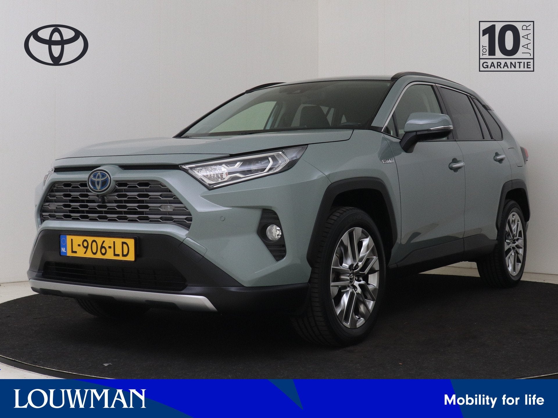 Toyota RAV4 2.5 Hybrid Executive | Dealer onderhouden | Trek