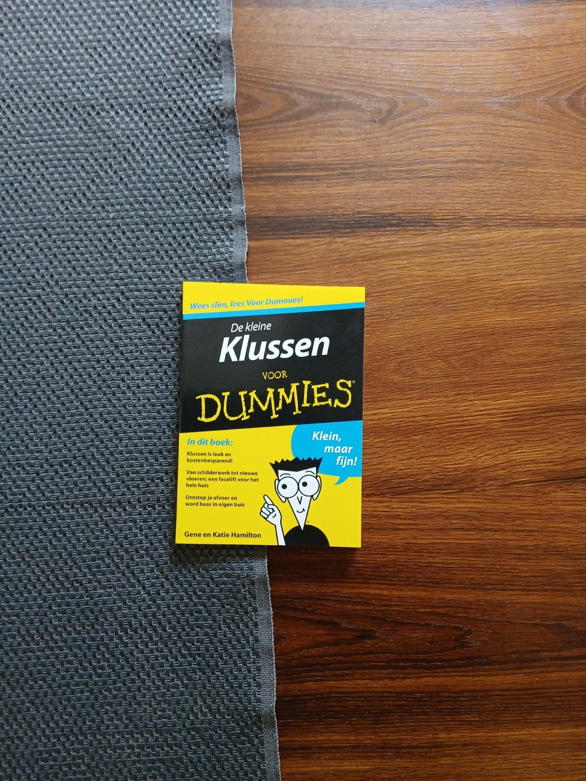 Gene Hamilton - De kleine klussen voor Dummies, Nieuw, Ophalen of Verzenden, Tekenen en Schilderen, Gene Hamilton; Katie Hamilton