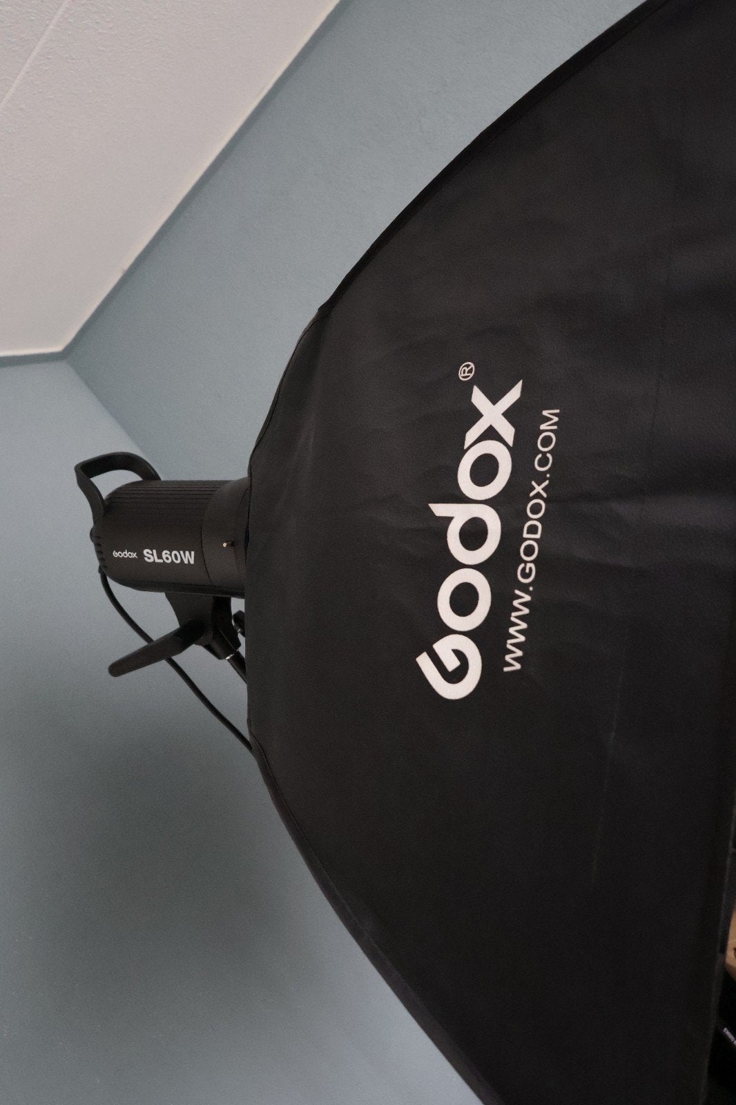 Godox SL60W LED Videolamp Set met Softbox en Statief, Audio, Tv en Foto, Fotografie | Fotostudio en Toebehoren, Ophalen, Zo goed als nieuw