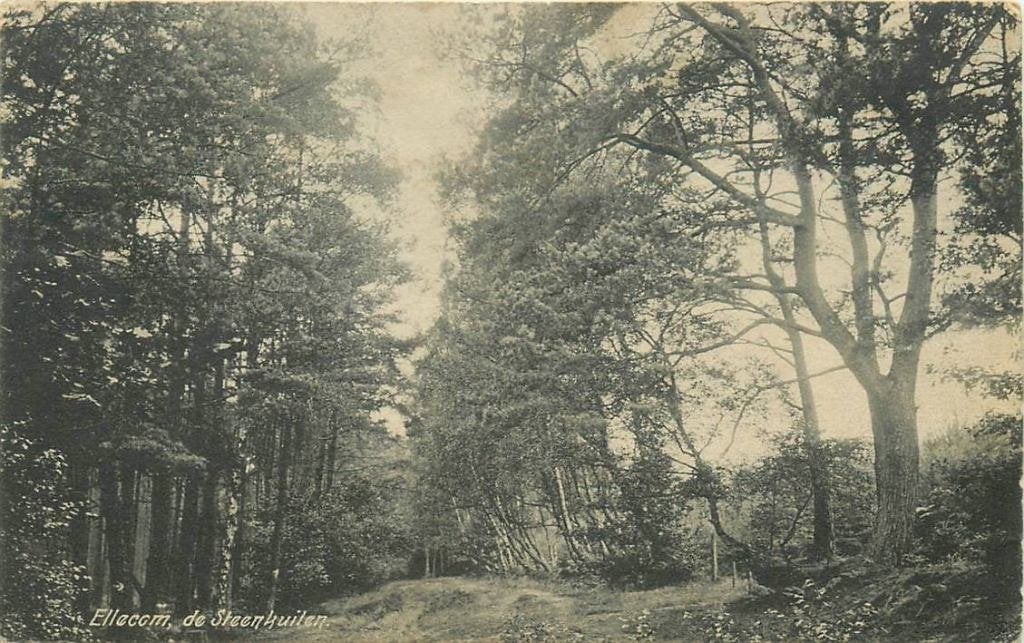 388-464-039 Ellecom De Steenkuilen, Verzenden, Voor 1920, Gelderland