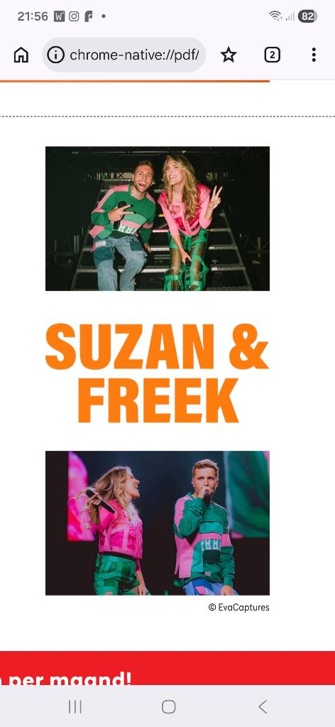 suzanne en freek 25 mei gelre dome. nog 2 stuks, Tickets en Kaartjes, Concerten | Nederlandstalig, Twee personen, Mei, Overige typen